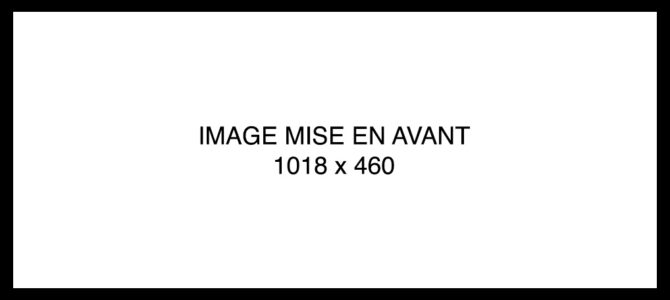 Protégé : Essai à ne pas supprimer pour l’instant